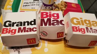 ビックマックなんてペロリですわ