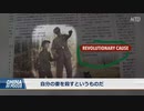 これが英雄？ 中国の教科書が共産党員の妻殺害を賛美