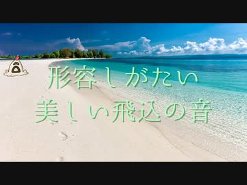 【刀剣CoC】愛すべき打刀たちと共に天国に近い島　#2