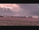 私が好きな食べ物は