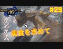 【ゆっくり実況】サンブレイク発売までにストーリー終わらすだけ Part29【MHRise/PC版】