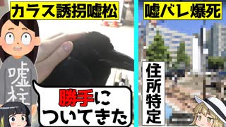 【嘘松爆死】カラスがついてきたと嘘つくツイ民が住所特定されて爆死した件をゆっくり解説