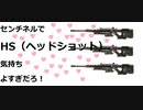 センチネルでヘッドショット気持ちよすぎだろ！