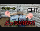 洗わずにウサギの体をキレイにする方法✨ ボディーシャンプータオルでネザーランドドワーフのボディケア
