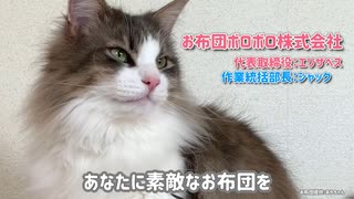 お布団ボロボロ職人の猫