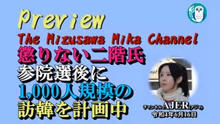 「林外相の媚韓外交が新たに発覚！K国朴外相にハーモニカをプレゼントし日韓友好ムードを演出！！⇒朴外相「(日韓は)ハーモニーを奏でるだろう」水沢美架AJER2022.6.16(7)