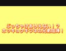 【ぶっちゃけありえない！？】ホッキョクキツネが兄弟喧嘩！