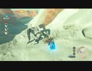 オタメガのブレワイ　10【完】　5/9