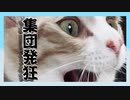 1978年に集団発狂あったてよ(他人事) - 怪異症候群#5