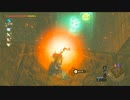 オタメガのブレワイ　10【完】　7/9