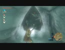オタメガのブレワイ　10【完】　8/9