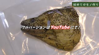 釣ったウツボで骨格標本つくってみた