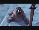 Elder Scrolls Online＃43