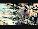 Demo Song
