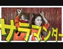 【サラマンダー】踊ってみました【美音ヤコ×ユバ】