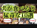 【ゆっくり解説】知らないとペットが大惨事!?犬にとって危険な食べ物10選