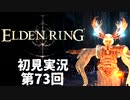 【初見実況】エルデンリング 第73回【手汗かき人が逝く】