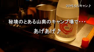 ３０代ぶらキャン♪ 　秘境のとある山奥のキャンプ場で・・・あげあげ♪