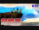 天国みたいな景色リブラ【アストリブラ-astlibra-生きた証- #30】
