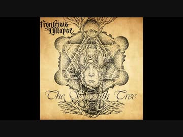 From Crisis to Collapse - Lift the Veil