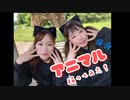 アニマル/DECO*27踊ってみた【ぼびーず】