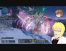 【PSO2】影宮亜理沙のPSO2NGS日記【通算317回目】【老練のマーカライダ戦】