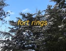 むらねこ-fort rings (フォートリングス)
