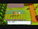 ⑪感謝の花咲くソノオタウン【ポケットモンスター シャイニングパール】