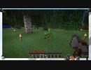 ⌘プレイアーカイブ⌘ Minecraft 2nd lap その16