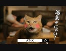 【AT-X】新CM「AT-Xがある生活」ネコ散歩編①【安元洋貴】