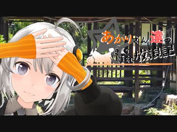 あかりさん達のきまぐれ放浪記33　バイクとキャンプとキス釣り後編
