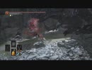[Dark Souls3]#16.5_自重せずに蹂躙していくダクソ3_Part16.5_輪の都探索編[ダークソウル3]