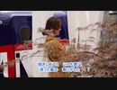 哀愁のカサブランカ(copy)
