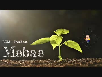 【トラック提供】Mebae【Lofi chill hiphop】