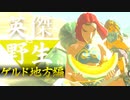 【実況】英傑 vs 野生｜ゲルド地方編 後編 【ゼルダの伝説 ブレス オブ ザ ワイルド】