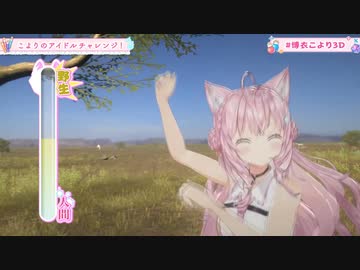 こよりん3Dお披露目でサバンナに里帰りして野生のコヨーテに戻ってしまう