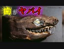 珍しくて変なサメがヤバイ／ワニグチツノザメ【ゆっくり解説】