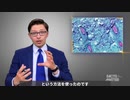 【陰謀論ガ―発狂動画】 サル痘が発生する数カ月前に、武漢研究所で行われていた危険な研究 【予告編】