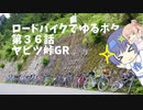 ロードバイクでゆるポタ 第３６話【ヤビツ峠グループライド】