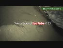 一年ぶりのテナガエビ釣り