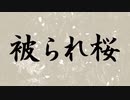 被られ桜