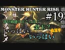 モンハンであそ部【ライズ編】#19　俺、アレをそうは見られへんわ