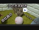 うさぎ好き会社員のナイトルーティン