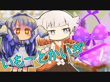 いもーとかいぎ