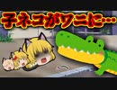 【ゆっくり茶番】子猫がワニに食べられて〇にました･･･