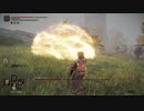 【ELDEN RING実況】 vs黄金樹の化身 part25