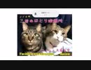 【雑談枠】三途のほとり喫煙所2022.6.10