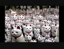 【NNIオリジナル】Manekineko