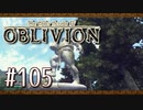 実況 ◇ The Elder Scrolls IV: オブリビオン ◇ 第105幕