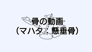 魚の骨格標本作ってみた：とてもよくわかるマハタの組み立て①